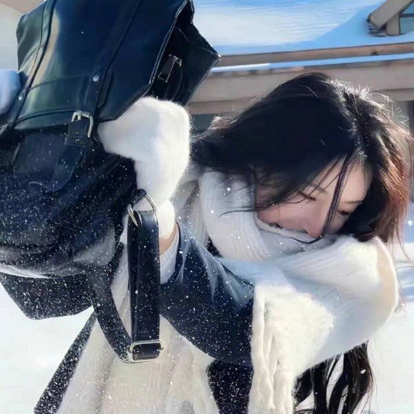 希莉丝在纽约